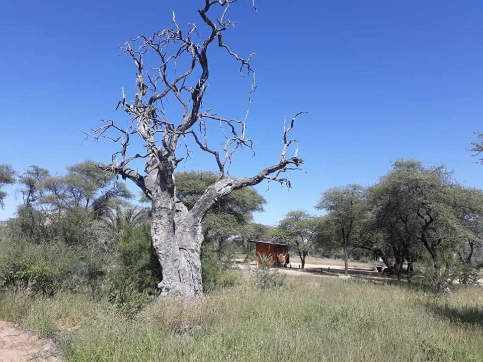 Camp Mara Hotel Omaruru Exterior photo